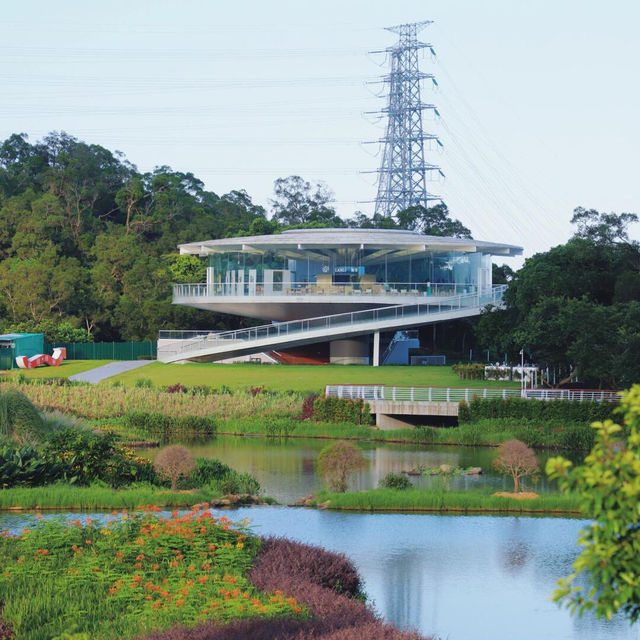唔使出深圳，就搵到阿勒泰同款治愈綠意🌳 恩上濕地公園正到痹！