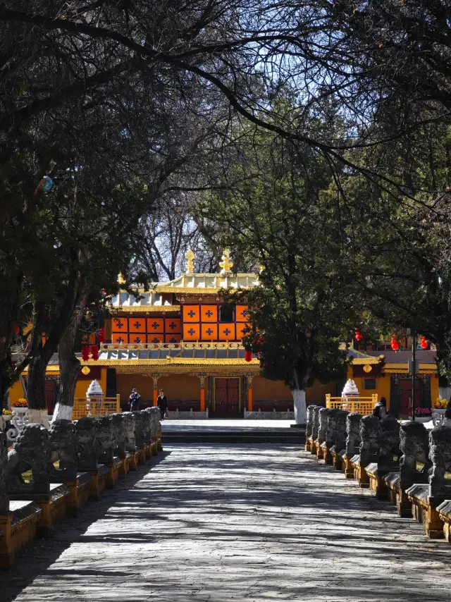 冬遊拉薩這個免費景點，還有誰不知道！