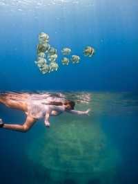 關島潛水寶藏指南：解鎖海底奇遇，安全暢遊秘笈
