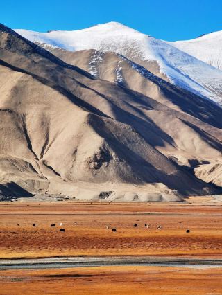 Kashgar City - Pamir Plateau 3-Day Tour: A Super Detailed Guide