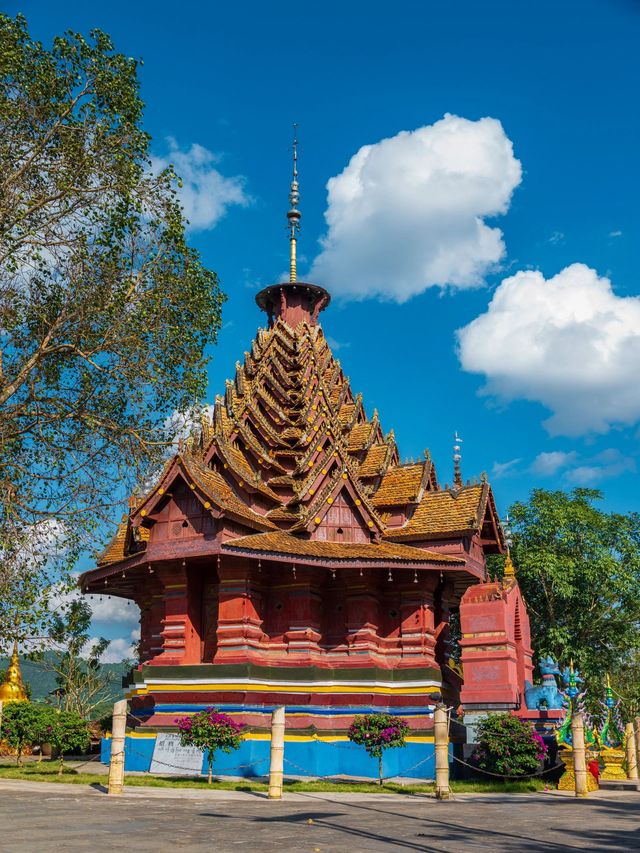 寒假探索西雙版納 森呼吸之旅等你來