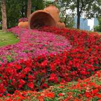 深圳打卡 | 邂逅彩色莫奈花園💐 桂灣公園