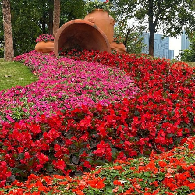 深圳打卡 | 邂逅彩色莫奈花園💐 桂灣公園