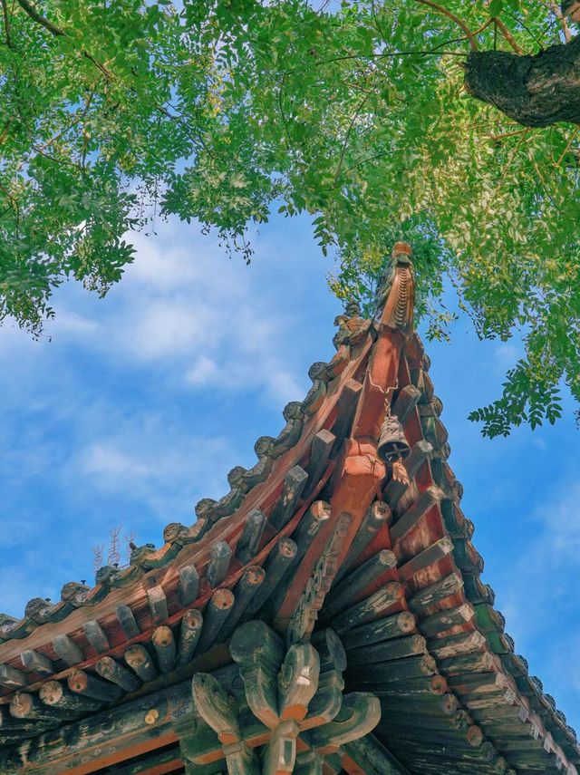 運城｜關帝廟的看點有哪些？