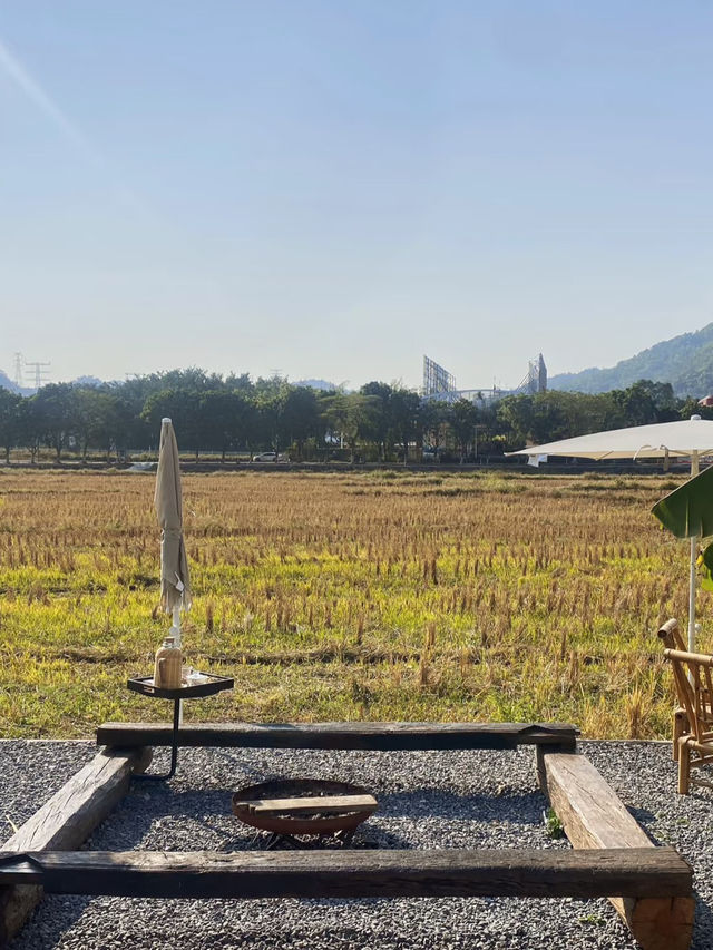 中山野小院民宿攻略🌟：隱世田園風，打卡必住！