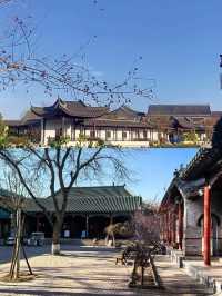 不要人擠人了！快跟著央媽嚴選去旅行！