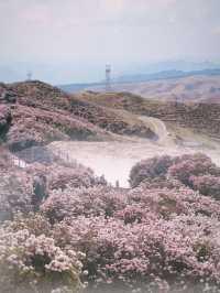 《雲端秘境｜烏蒙大草原：一場穿越四季的浪漫冒險》