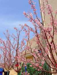 合肥周邊親子好去處｜廬江溪地阿蘭若
