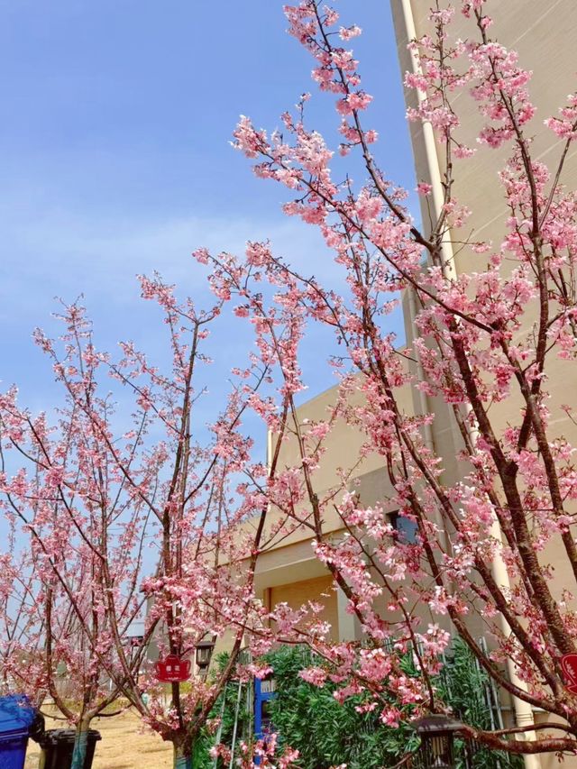 合肥周邊親子好去處｜廬江溪地阿蘭若