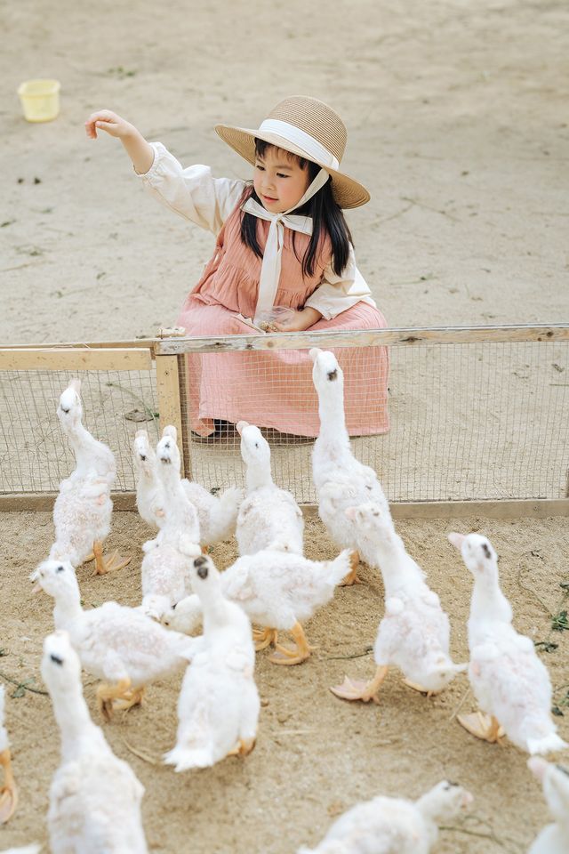 廣佛1小時直達心動樂園，闖入油畫裡的童話世界