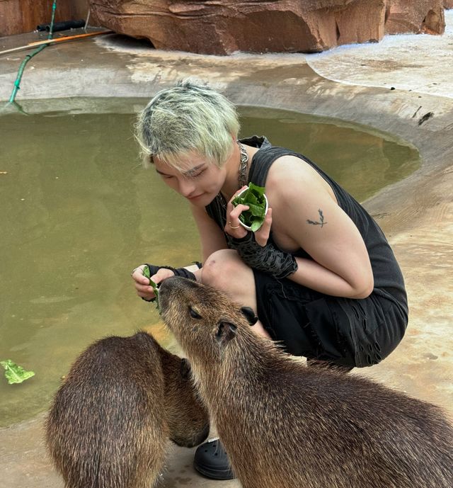 海花島海洋公園 動物互動攻略大放送