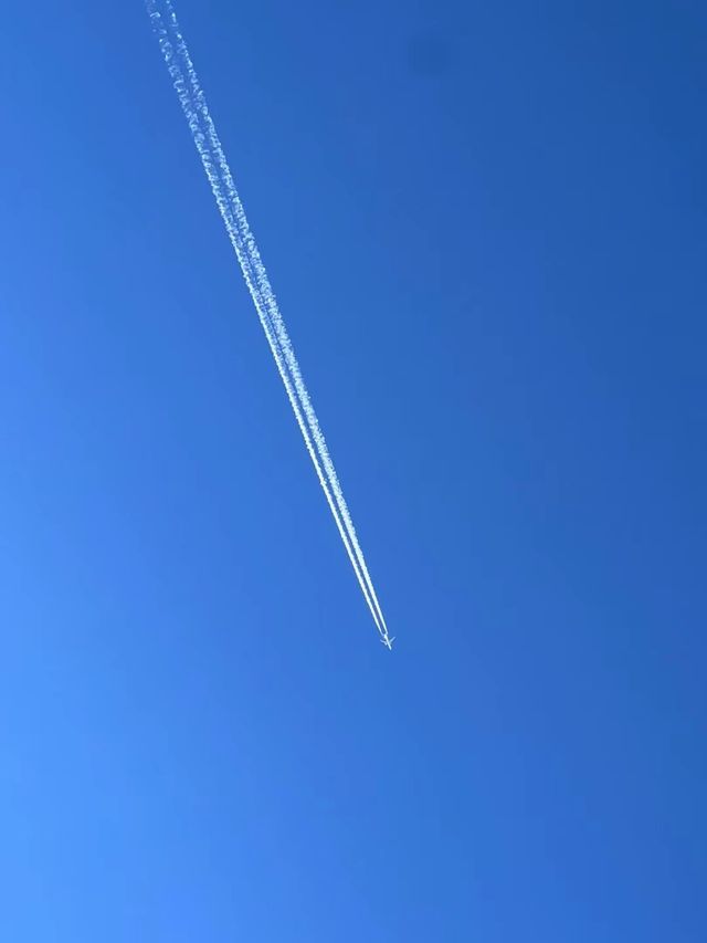 探秘吊大坂：穿越祁連山脈的壯麗之旅