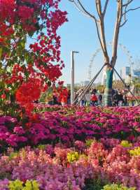 淡季城市輕旅行 | 前海石公園Citywalk全攻略 ——解鎖深圳西岸的橘子海與摩天輪浪漫 