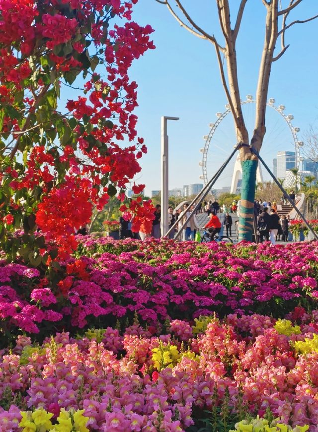 淡季城市輕旅行 | 前海石公園Citywalk全攻略 ——解鎖深圳西岸的橘子海與摩天輪浪漫 