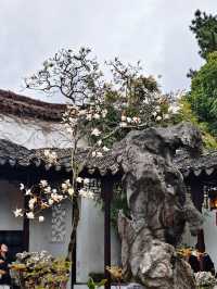 蘇州園林寺廟三日遊全攻略！看這一篇就夠啦！