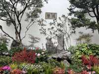 春日尋花漫步