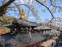 浙江｜位列「五山十剎」之首的徑山寺