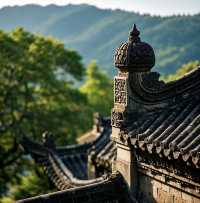 阿育王寺：寧波的佛門聖地之旅