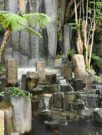 上海溫室花園遊玩攻略，都市中的綠野仙蹤
