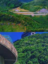 梅花山給你一個19℃的夏天你會來嗎