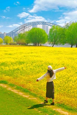 "The Most Beautiful Hanjiang Bay"—Enjoy flowers and kids' fun! A no-regrets guide.
