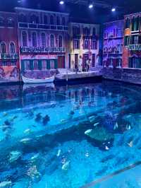 灞橋海洋公園｜體驗絲綢之路上的海洋世界