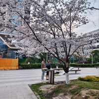 business travel happy to visit yiwu market