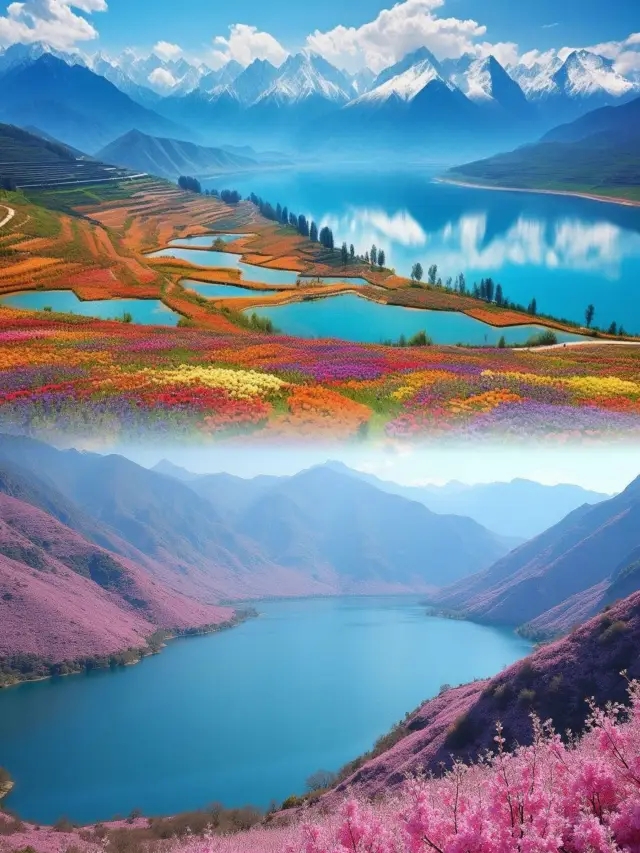 สีม่วงแสนโรแมนติก×สวนลาเวนเดอร์ฮอร์กอส