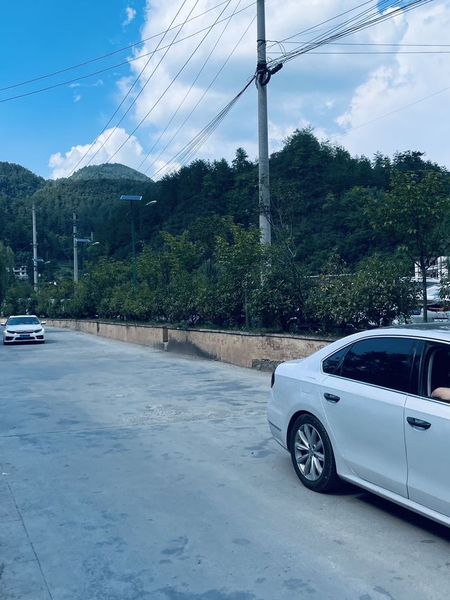 清明踏青 昆明等地美翻了別錯過