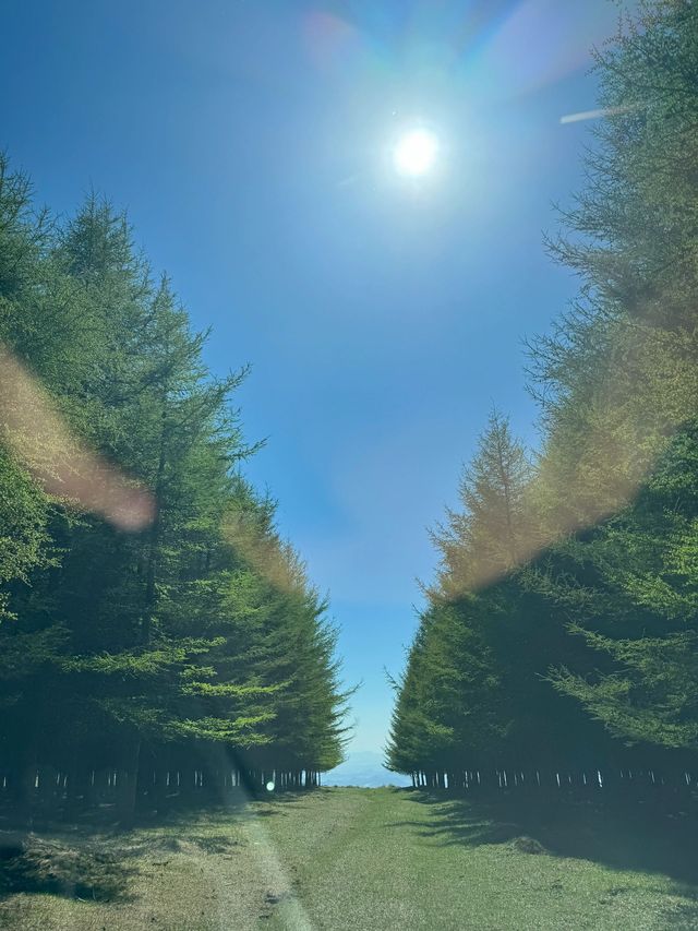 小長假玩轉塔城地區等地  睇呢篇就夠啦