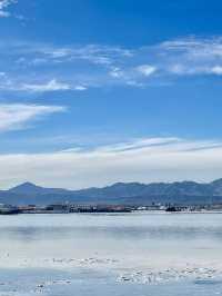 7日暢遊海北等地 超詳細行程攻略必收藏
