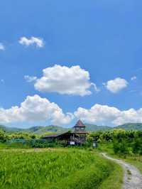 登高望遠的悠然一日