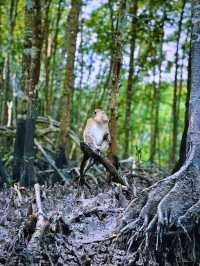 喀比鏡湖泰國 Krabi 逛吃攻略