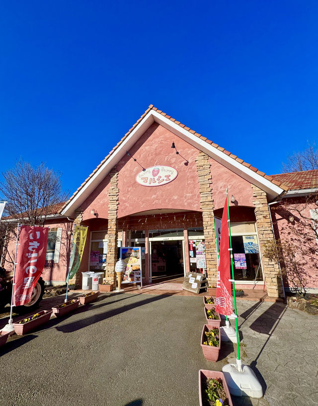 日本の魅力的なイチゴ狩り村