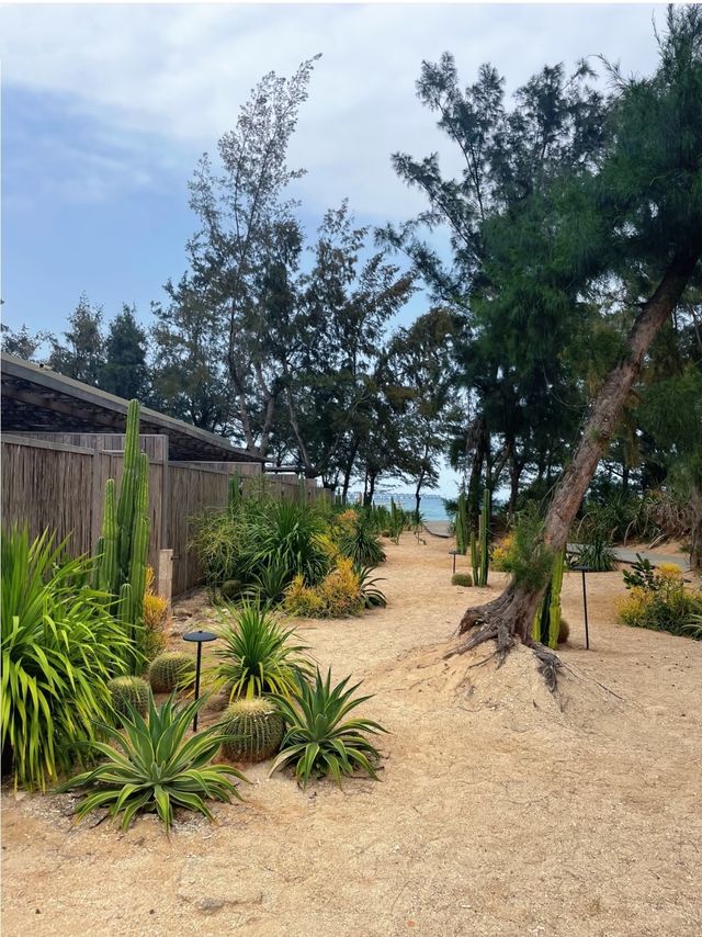 強烈推薦大家來潿洲島入住這間酒店！簡直一流！