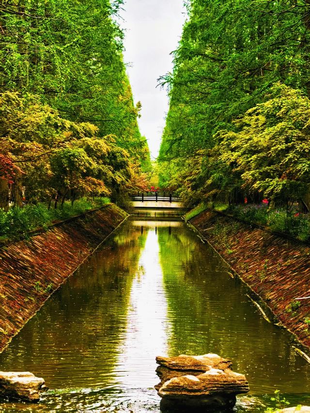 東平國家森林公園 | 闖入綠野仙蹤，擁抱森林氧吧