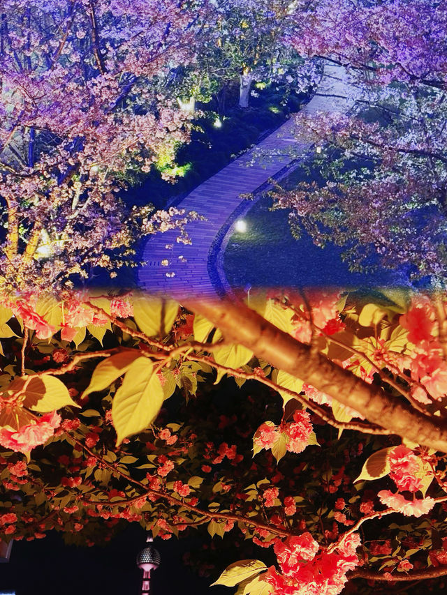 上海必到打卡景點!東方明珠夜景超強攻略 上海必到打卡景點!東方明珠夜景超強攻略