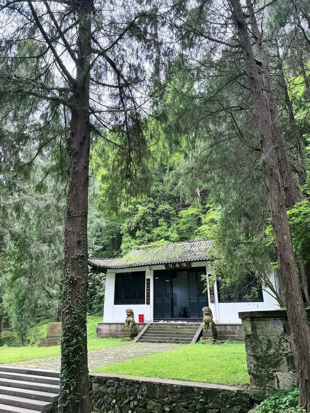 神仙居旅遊全攻略：雲端漫步，邂逅人間仙境