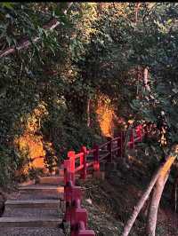 銀湖山郊野公園環山公路徒步攻略🌳🚶‍♂️