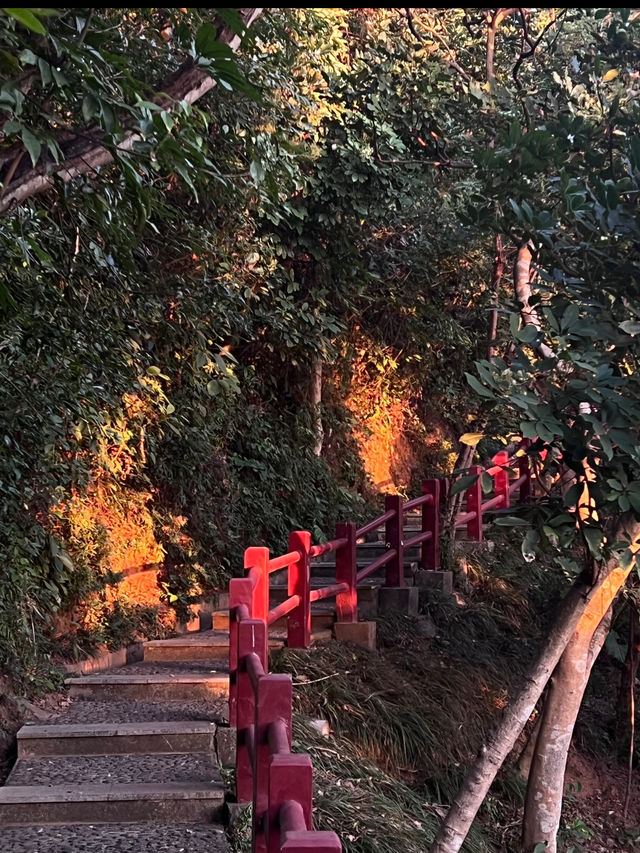 銀湖山郊野公園環山公路徒步攻略🌳🚶‍♂️
