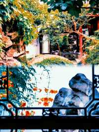 蘇州園林界的「頂流天團」