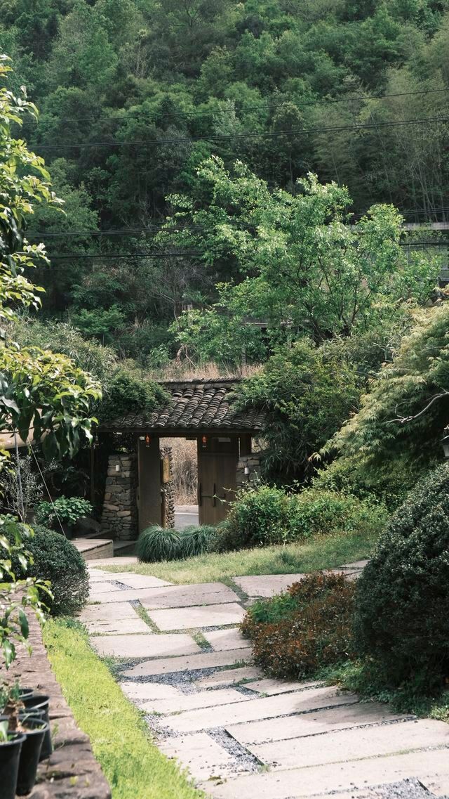 靜廬瀾柵｜春天擁有屬於它的獨一無二，山谷溪流蜿蜒是最好的陪伴