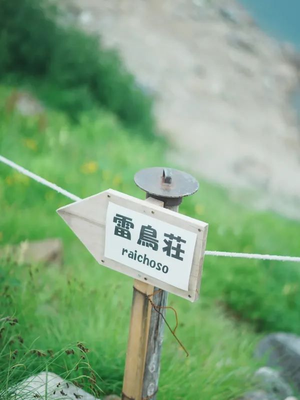 探索日本交通最昂貴的山峰：立山黑部！
