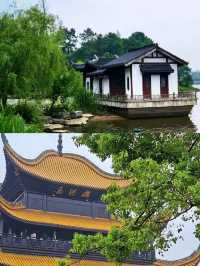 岳陽已回，朋友圈都怎爆了。