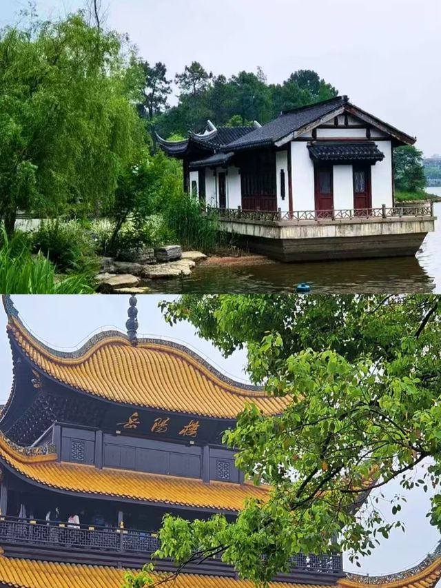 岳陽已回，朋友圈都怎爆了。