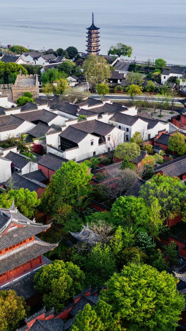 為何大家都熱衷於海寧鹽官潮樂之城