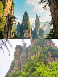 帶上這份攻略，開啟一場「阿凡達」式的奇幻之旅吧！