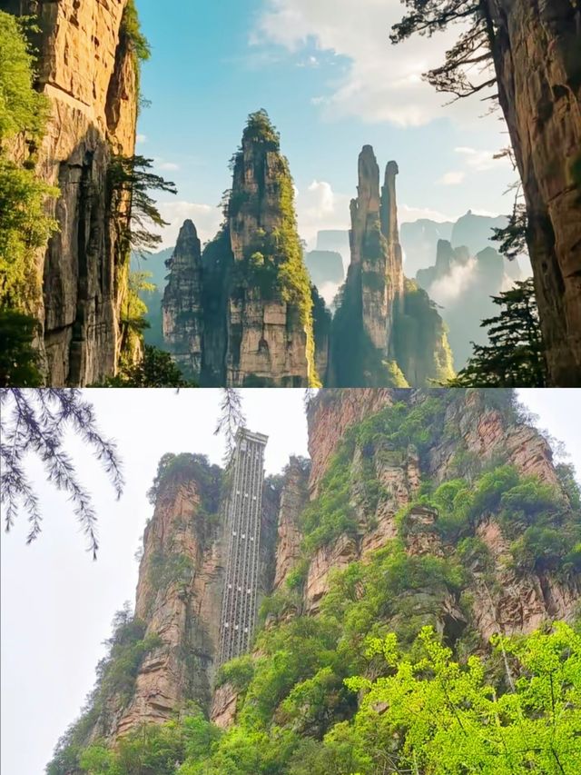 帶上這份攻略，開啟一場「阿凡達」式的奇幻之旅吧！