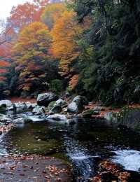 探秘十八月潭：川東北的秘境仙境