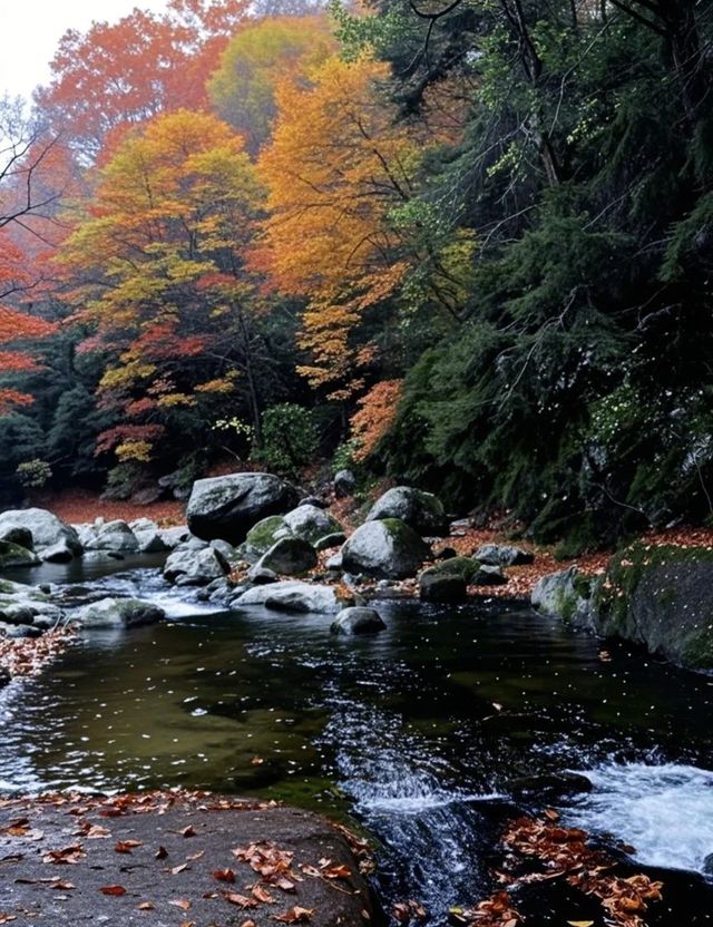 探秘十八月潭：川東北的秘境仙境